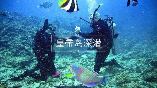 召唤神龙万宁版祖龙