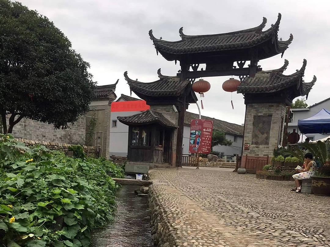 解救金刚鹦鹉